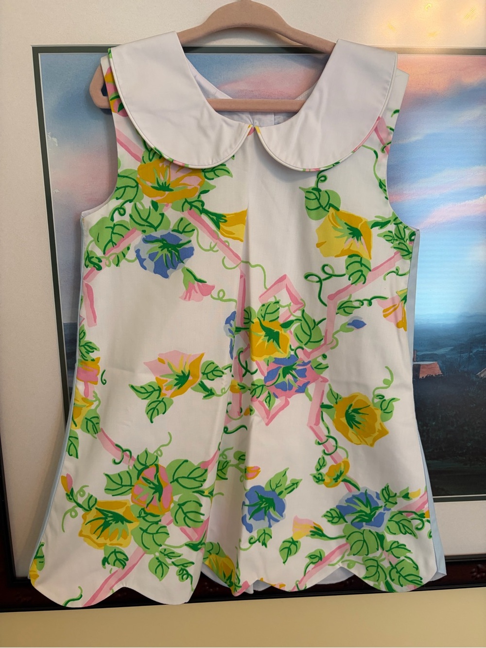 TBBC Luann lunch dress 4T